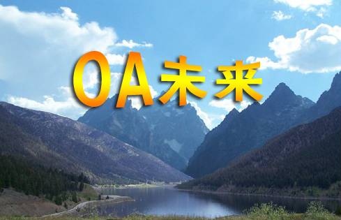 專家分析OA辦公系統(tǒng)未來發(fā)展方向